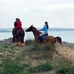 Casa Vacanze Della Giudecca * 加利波利