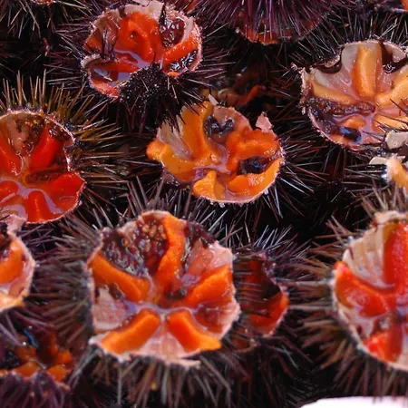 Casa Vacanze Della Giudecca * גאליפולי