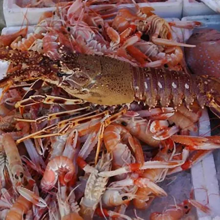 Casa Vacanze Della Giudecca בית נופש גאליפולי