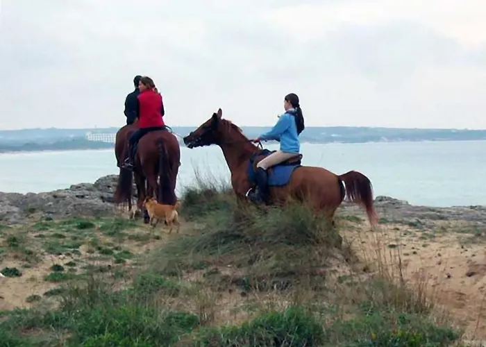 Casa Vacanze Della Giudecca * גאליפולי