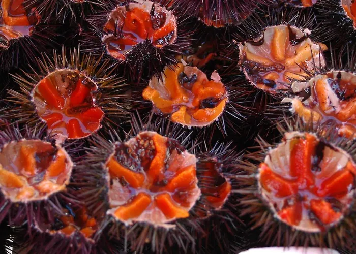 Casa Vacanze Della Giudecca * גאליפולי