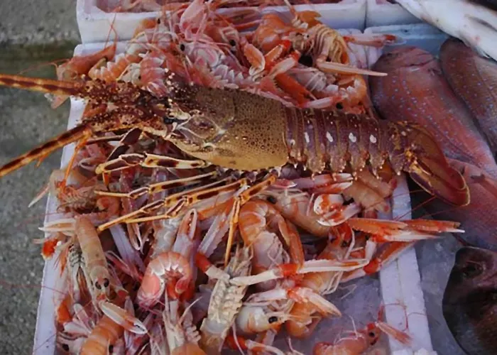 Casa Vacanze Della Giudecca בית נופש גאליפולי